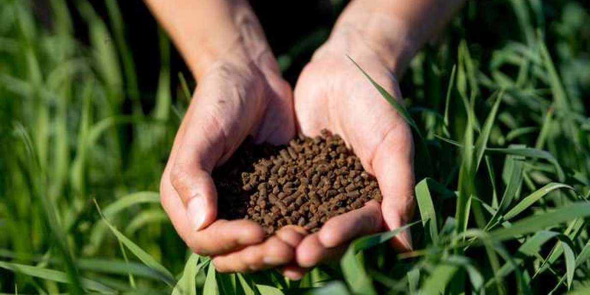 Organic Fertilizers Market Insights by Size, Status and Forecast 2031